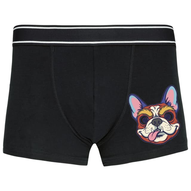 Bokserki Uroczy French Bulldog ze śmieszną zmarszczką i wywieszonym języczkiem