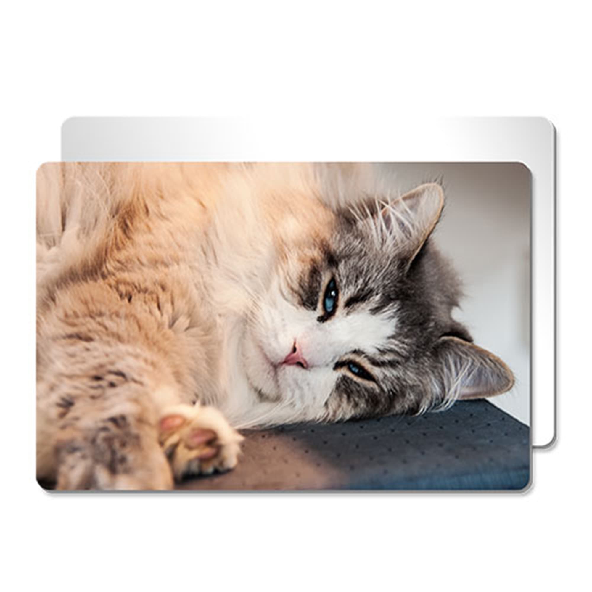 Panel fotograficzny aluminiowy ChromaLuxe matowy biały, 100 x 150 x 1,15 mm, narożniki zaokrąglone, 10 szt./karton