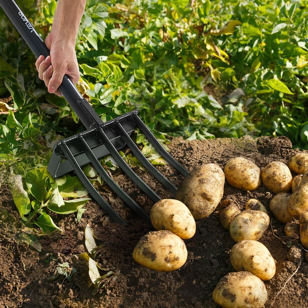 Widły ogrodowe, widły ogrodnicze z 5 zębami i metalowym uchwytem, widły do kopania o dużej wytrzymałości, 41 cali, z uchwytem Y, kute stalowe widły do siana, kompostowania ziemniaków, przesadzania i napowietrzania